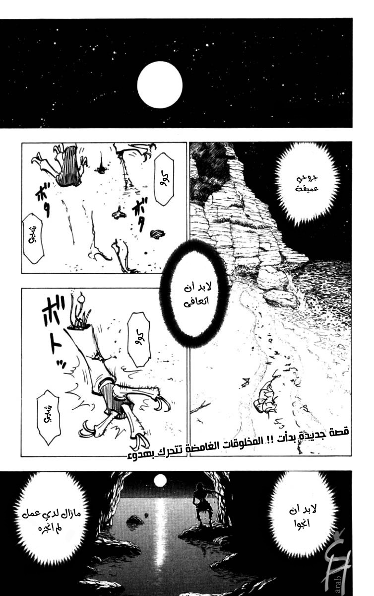 Hunter x Hunter: Chapter 186 - Page 2