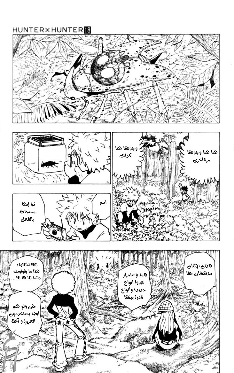 Hunter x Hunter: Chapter 186 - Page 4