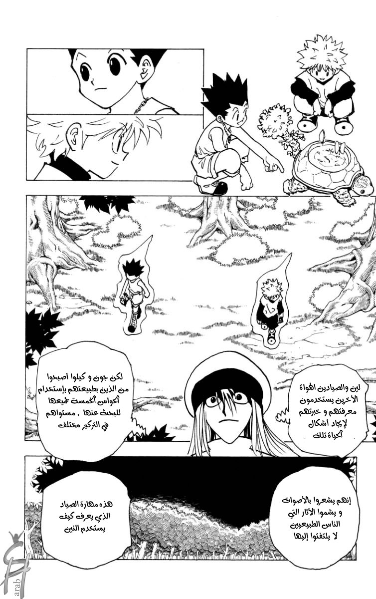 Hunter x Hunter: Chapter 186 - Page 5