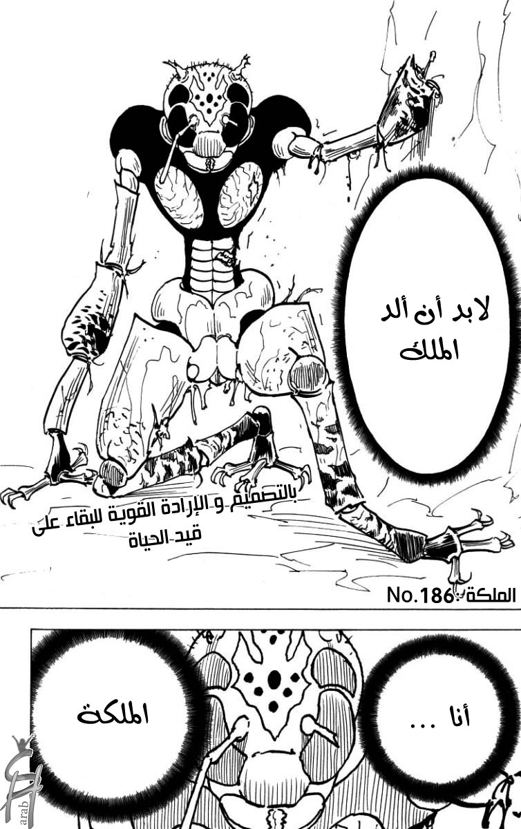 Hunter x Hunter: Chapter 186 - Page 10