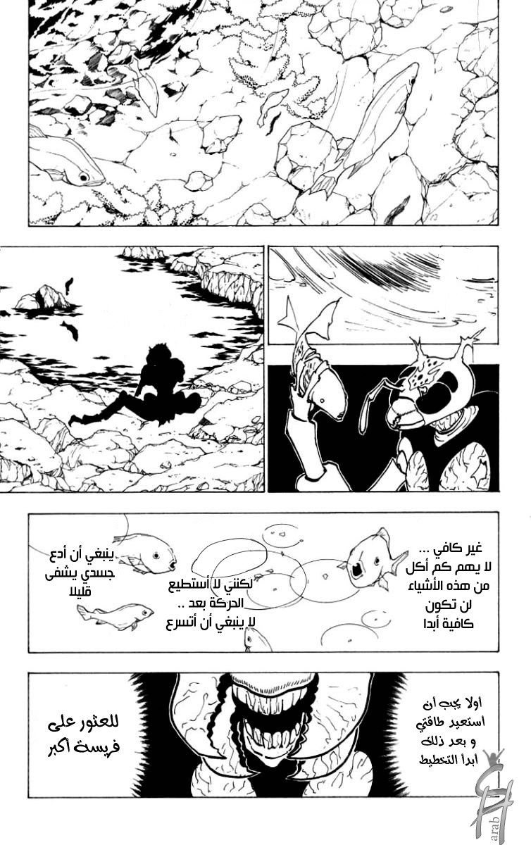 Hunter x Hunter: Chapter 186 - Page 11