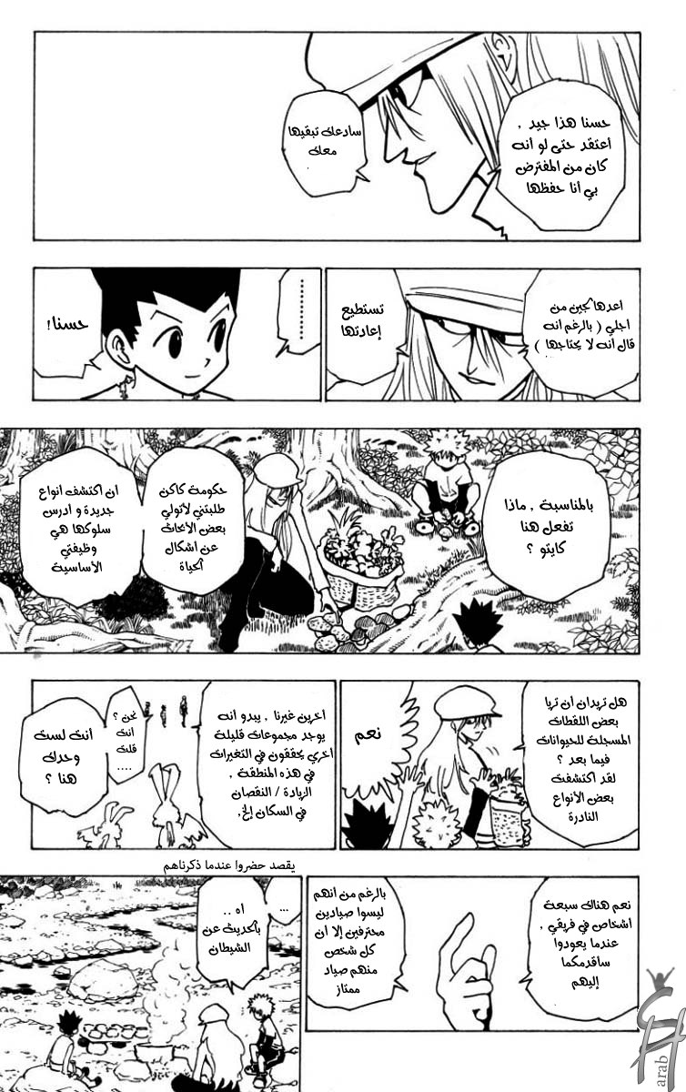 Hunter x Hunter: Chapter 186 - Page 13
