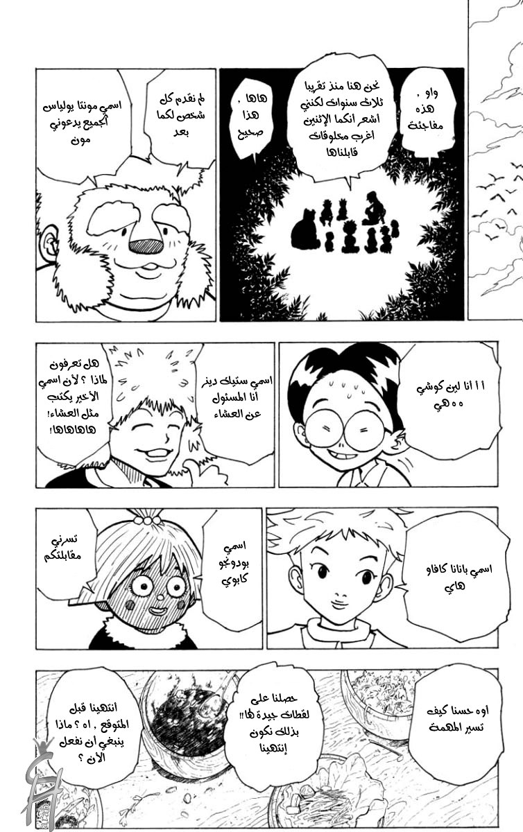 Hunter x Hunter: Chapter 186 - Page 16