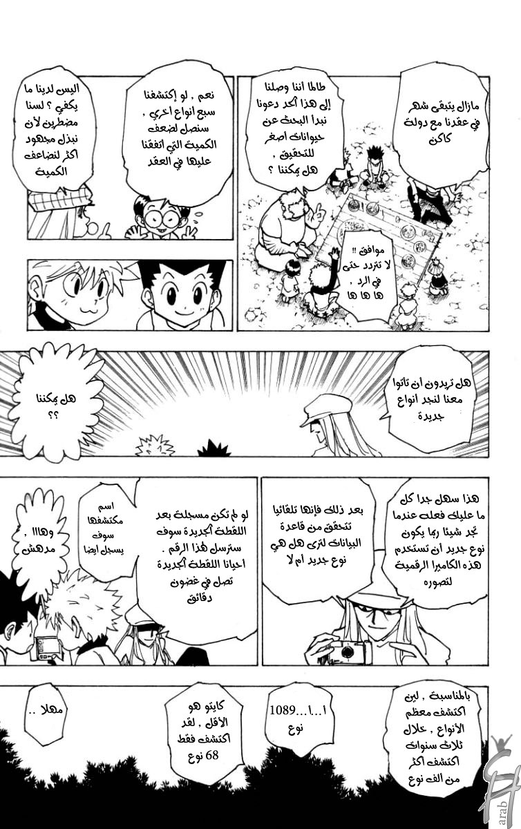 Hunter x Hunter: Chapter 186 - Page 17