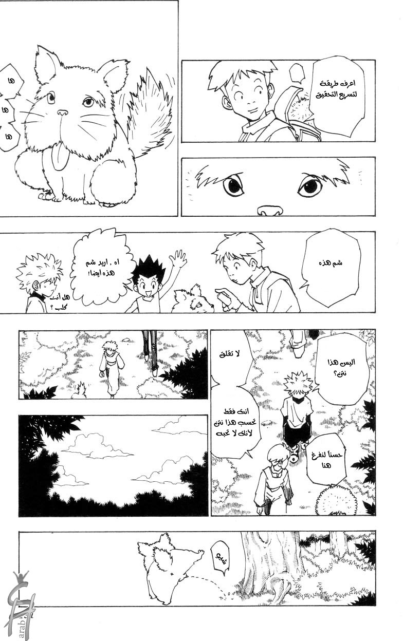 Hunter x Hunter: Chapter 187 - Page 10