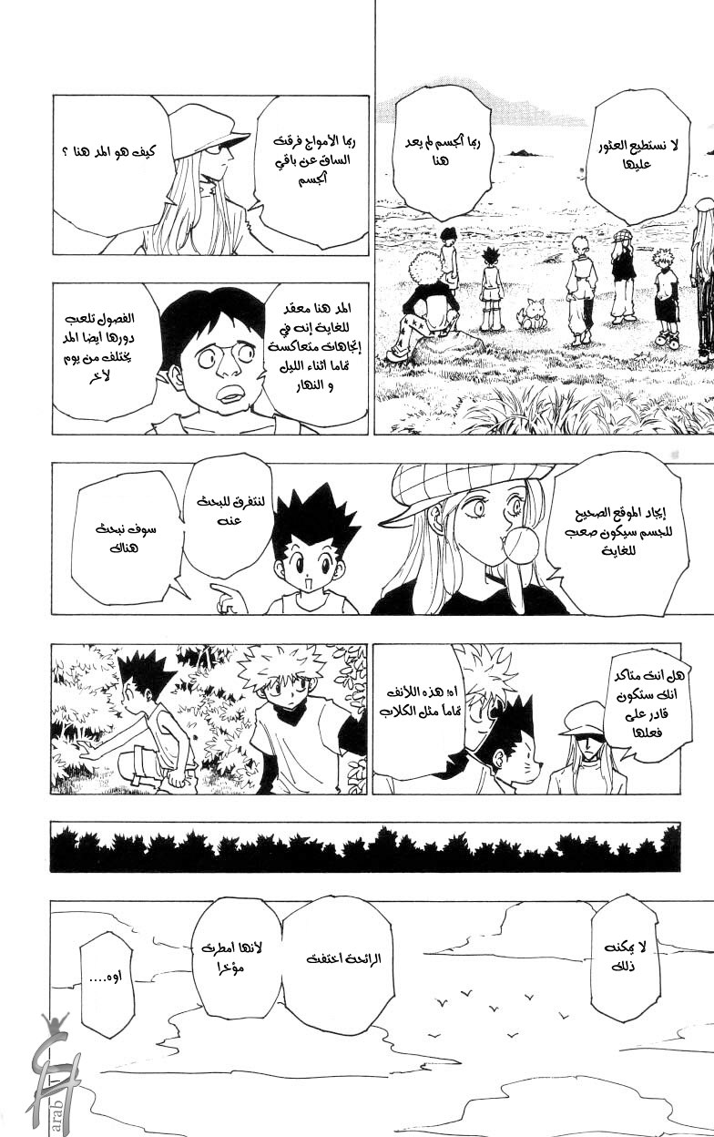 Hunter x Hunter: Chapter 187 - Page 11