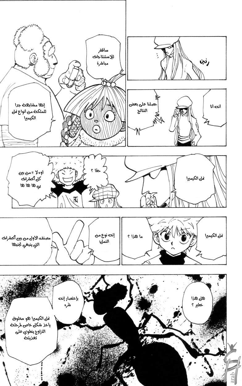 Hunter x Hunter: Chapter 187 - Page 12