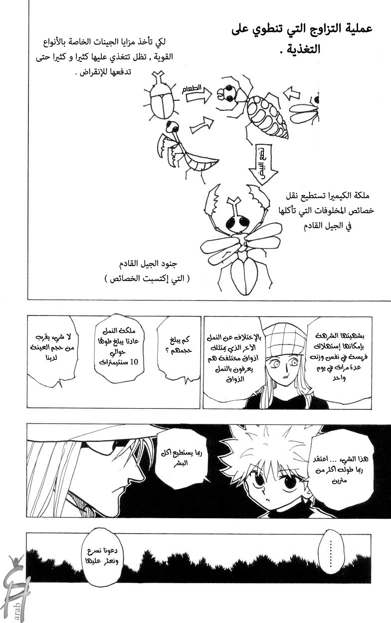 Hunter x Hunter: Chapter 187 - Page 13