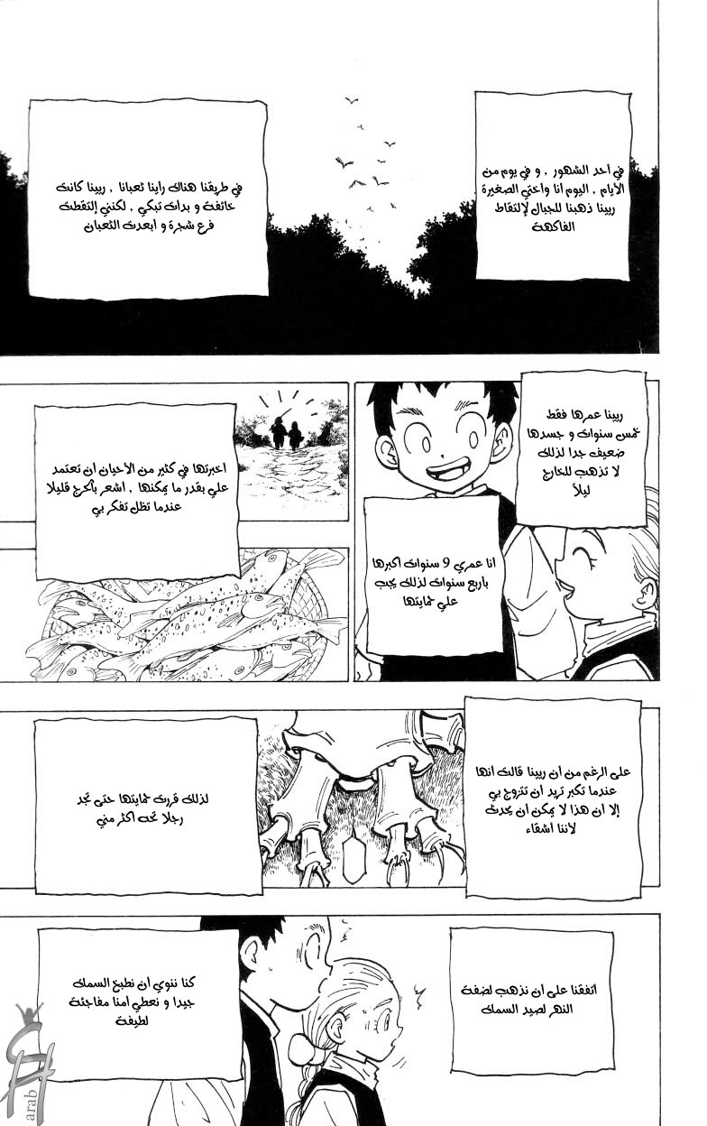 Hunter x Hunter: Chapter 187 - Page 14