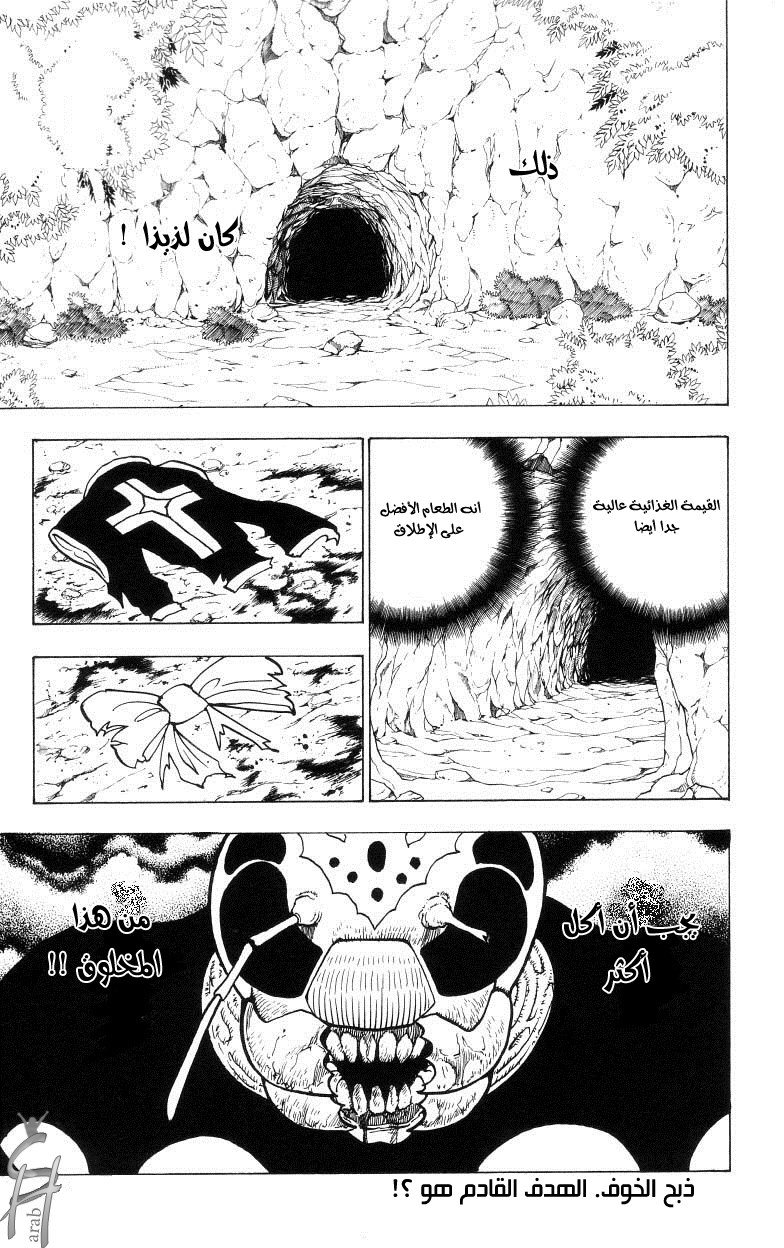 Hunter x Hunter: Chapter 187 - Page 16