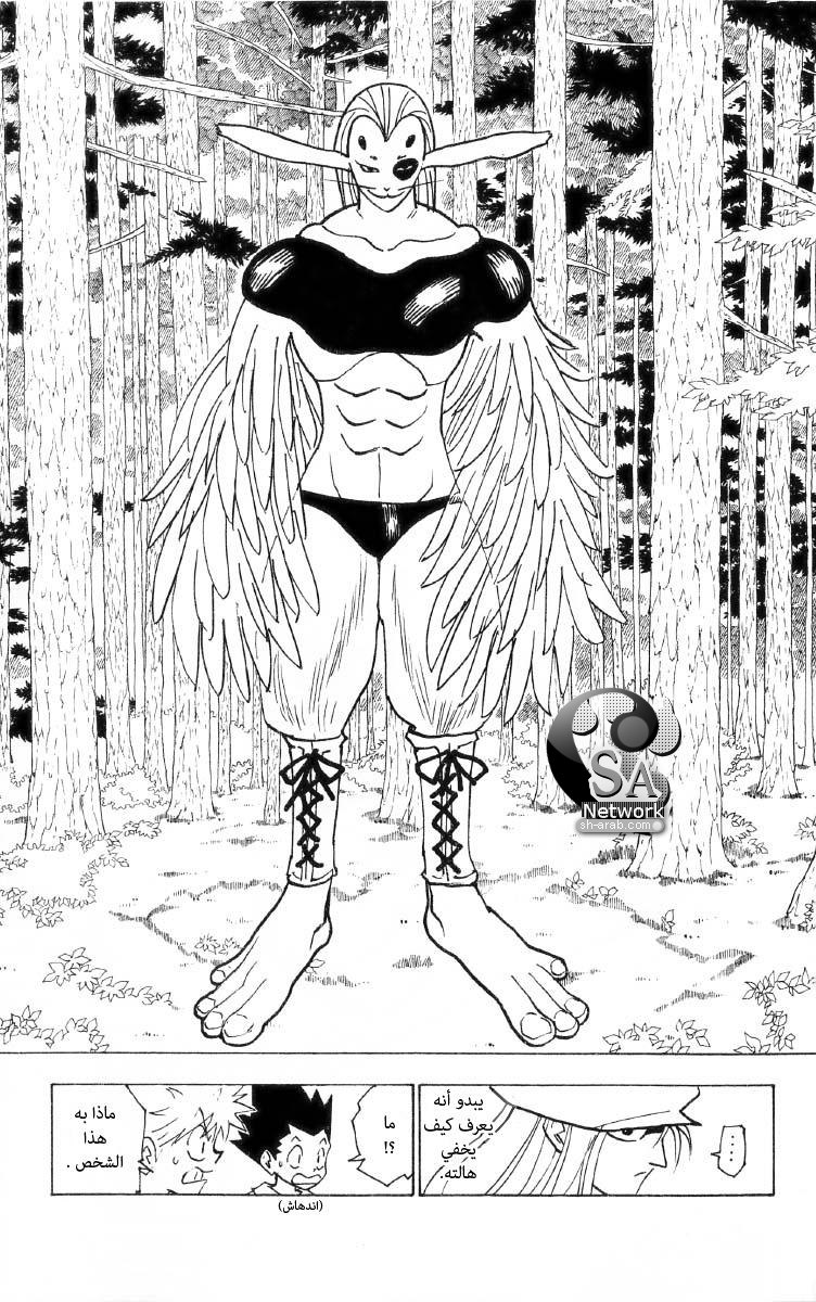 Hunter x Hunter: Chapter 191 - Page 4