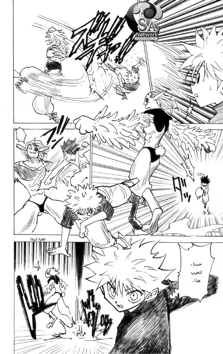 Hunter x Hunter: Chapter 191 - Page 11