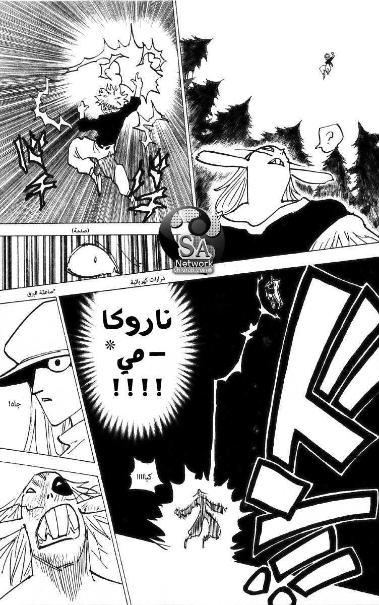 Hunter x Hunter: Chapter 191 - Page 12