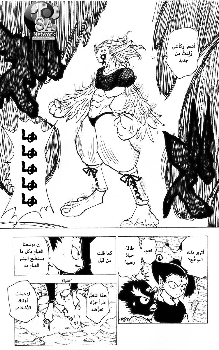 Hunter x Hunter: Chapter 194 - Page 9