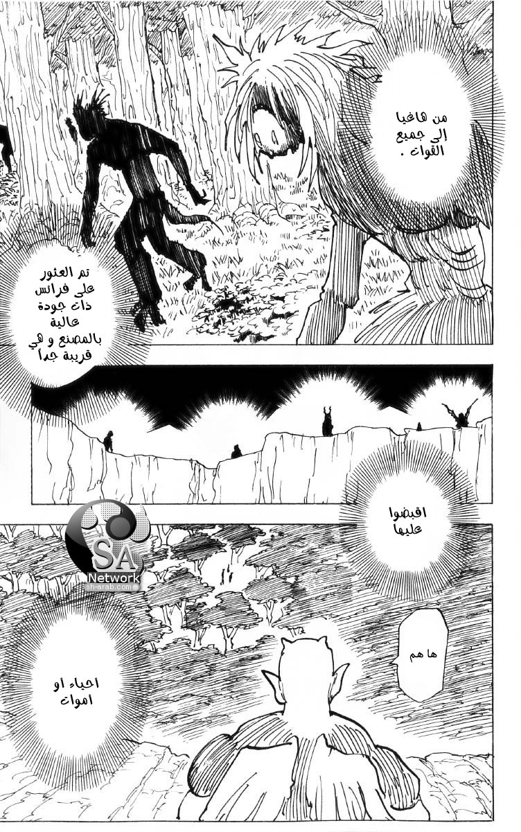 Hunter x Hunter: Chapter 194 - Page 13