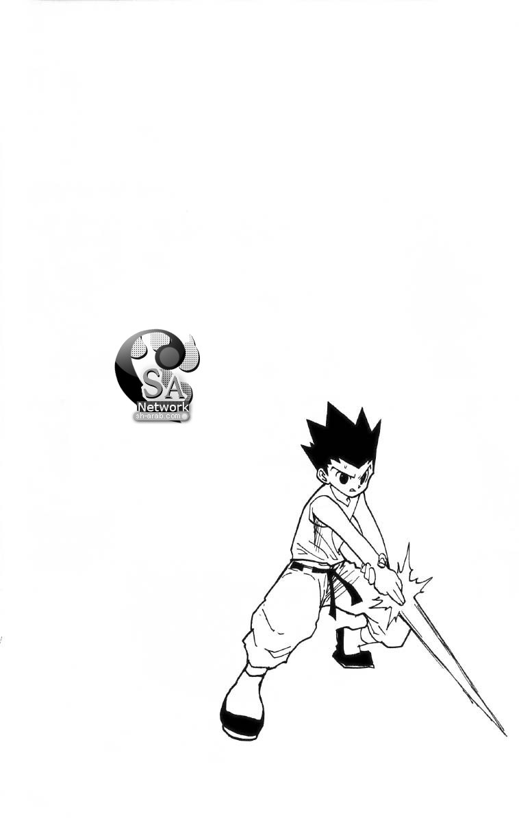 Hunter x Hunter: Chapter 194 - Page 16