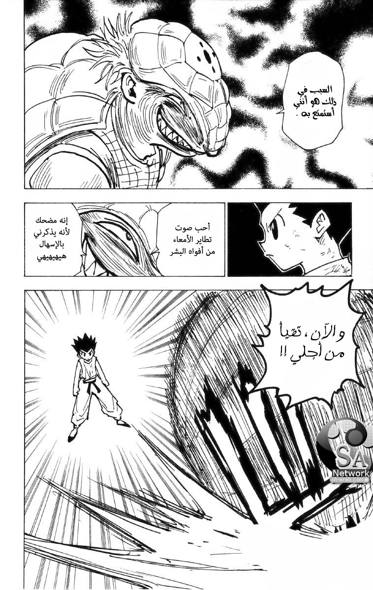 Hunter x Hunter: Chapter 195 - Page 10