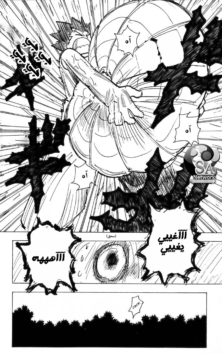 Hunter x Hunter: Chapter 195 - Page 14