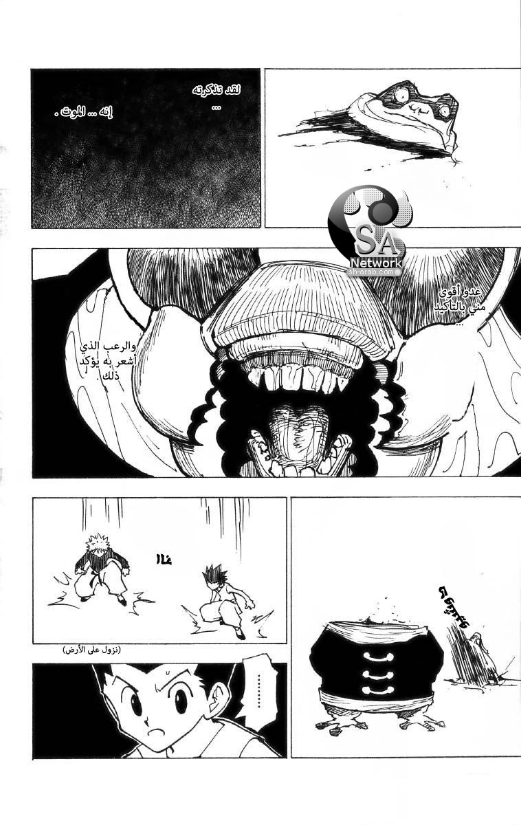 Hunter x Hunter: Chapter 196 - Page 11