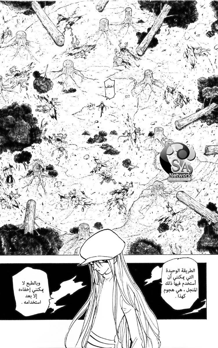 Hunter x Hunter: Chapter 196 - Page 12