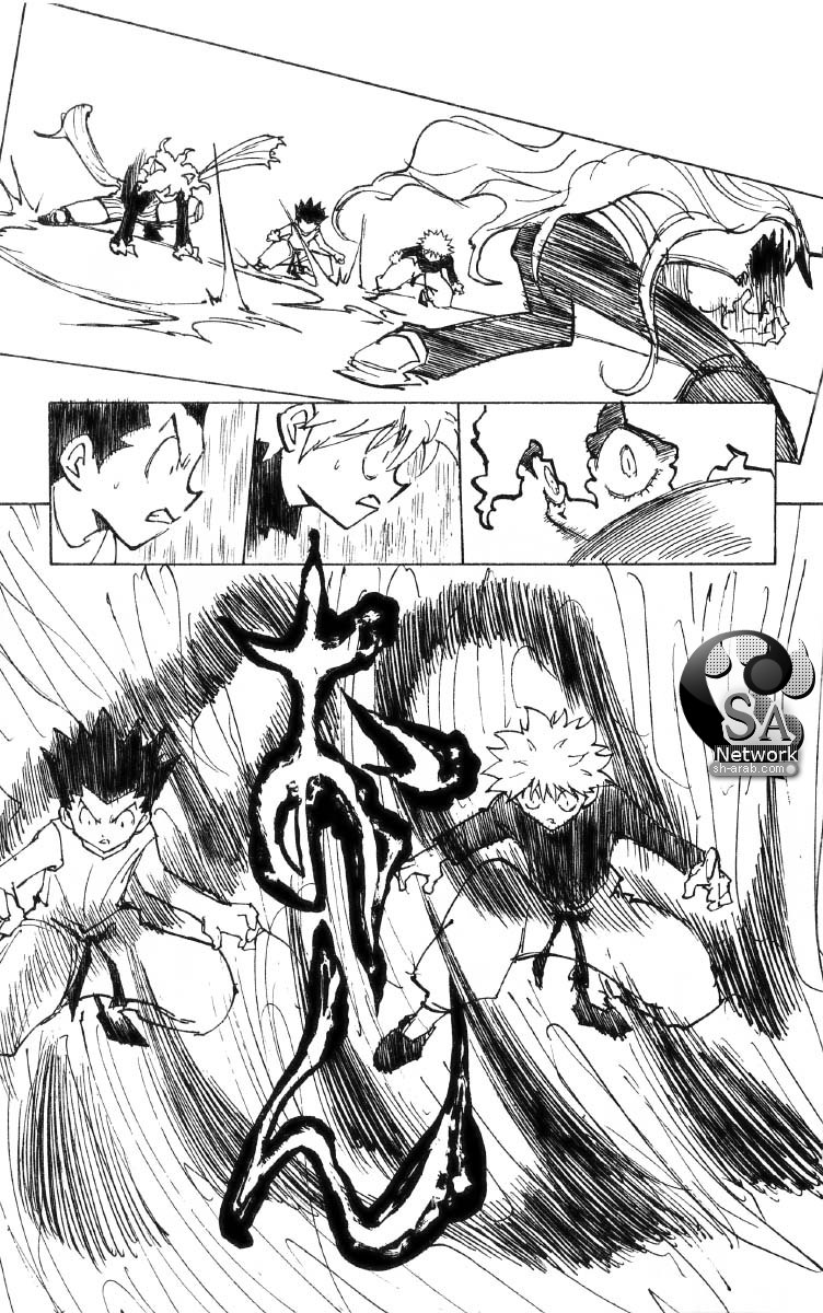 Hunter x Hunter: Chapter 198 - Page 12