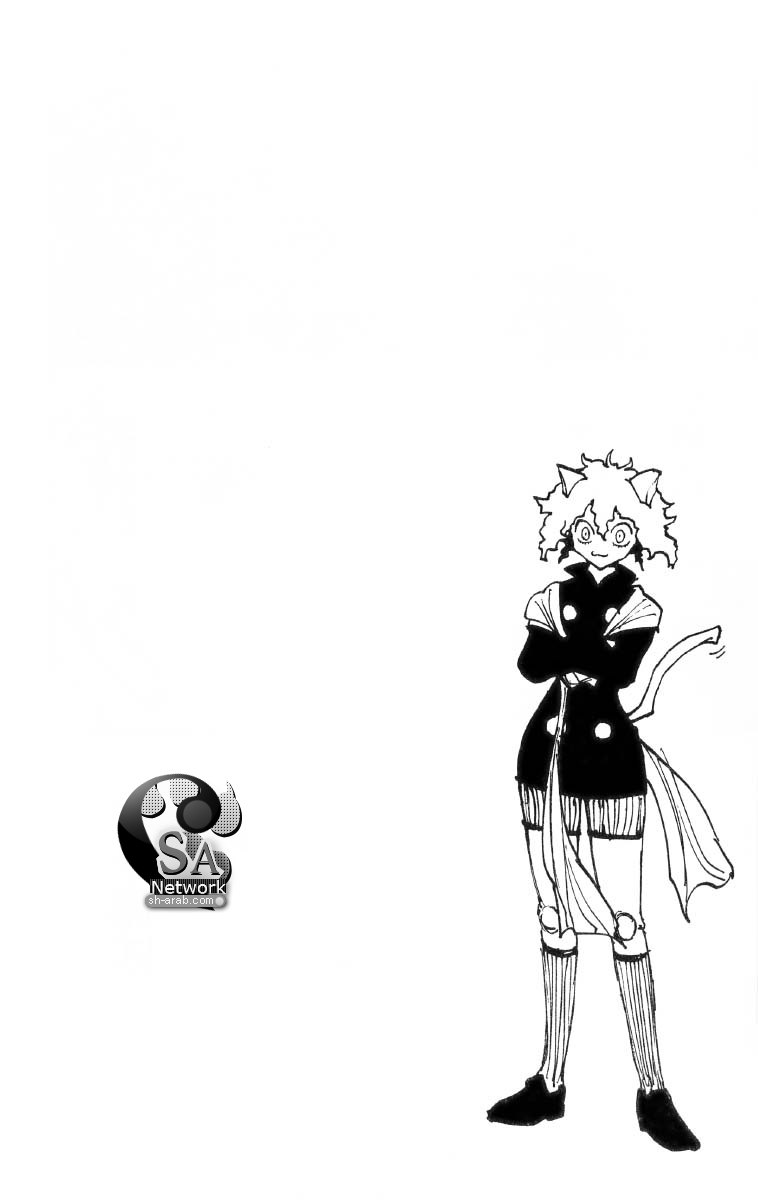 Hunter x Hunter: Chapter 198 - Page 17