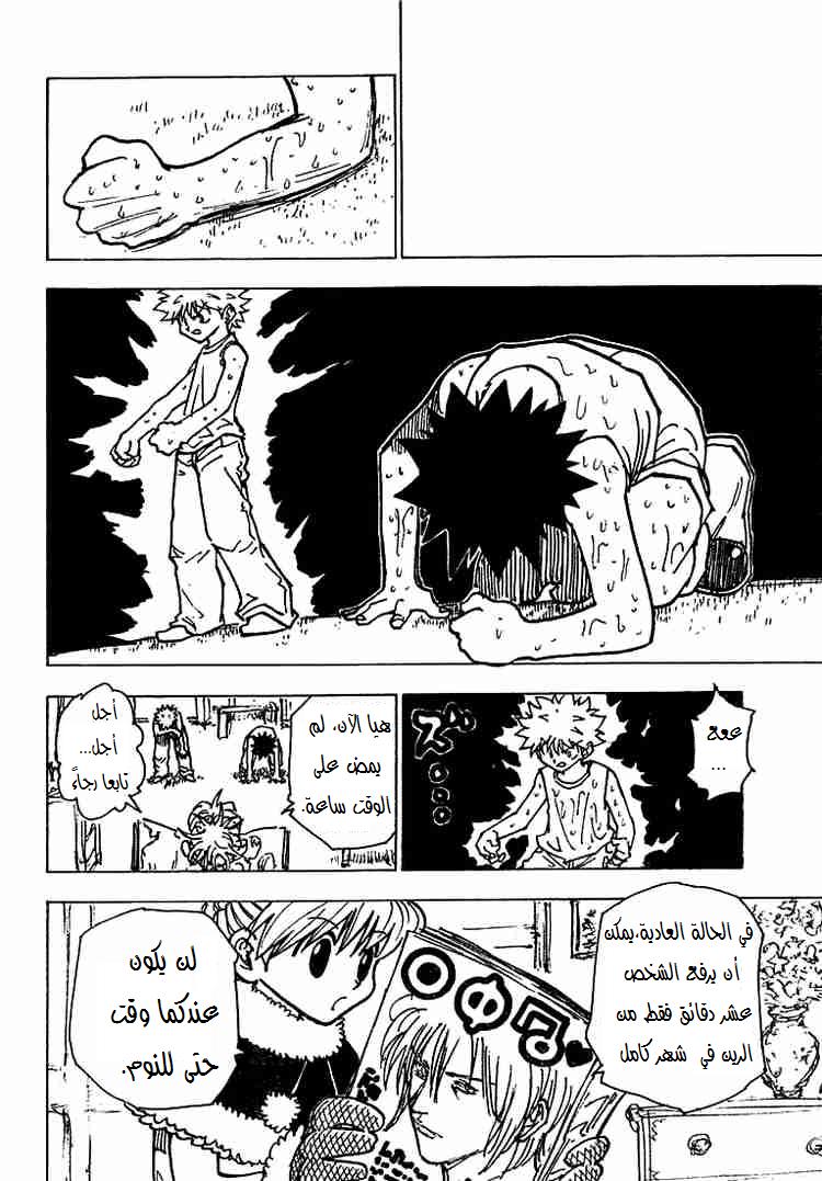 Hunter x Hunter: Chapter 201 - Page 10