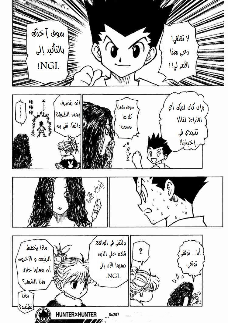 Hunter x Hunter: Chapter 201 - Page 14