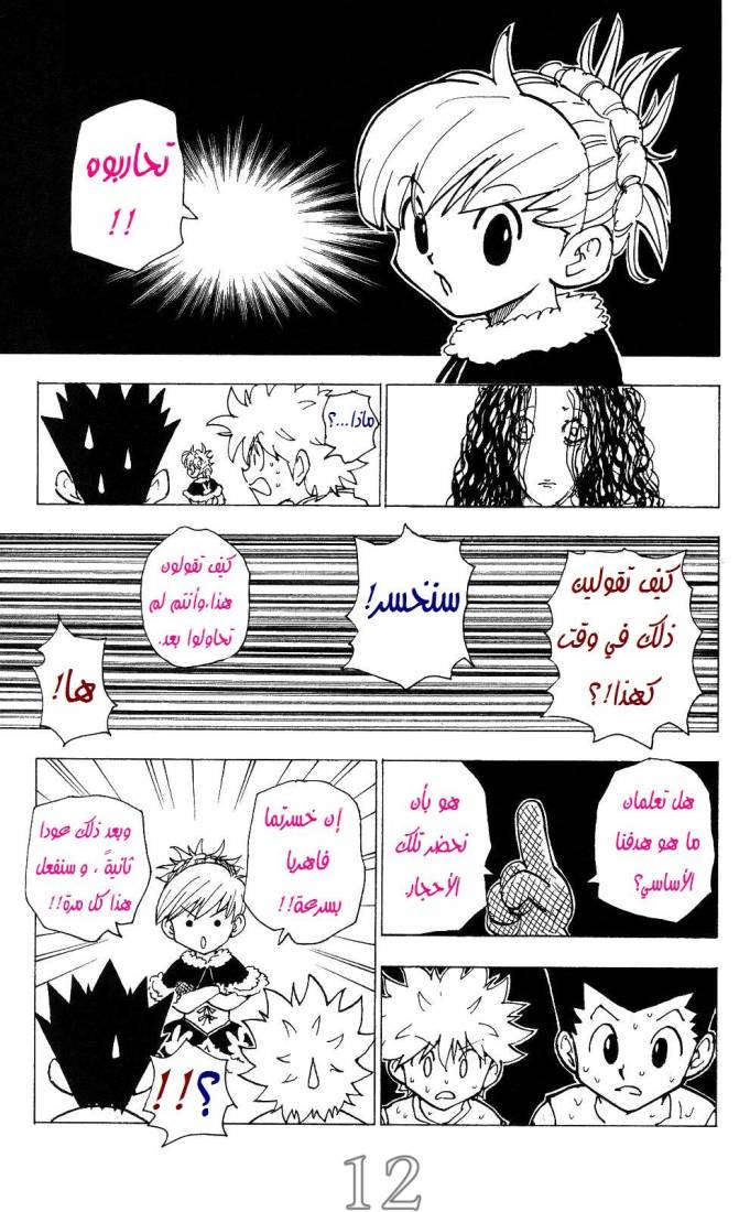 Hunter x Hunter: Chapter 202 - Page 13