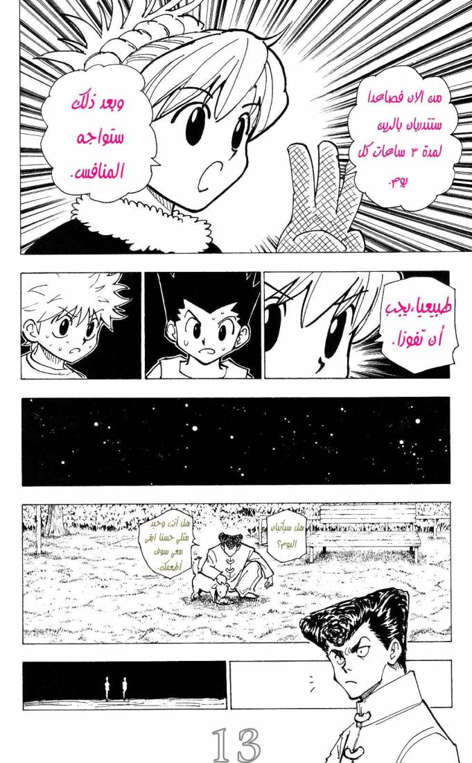Hunter x Hunter: Chapter 202 - Page 14