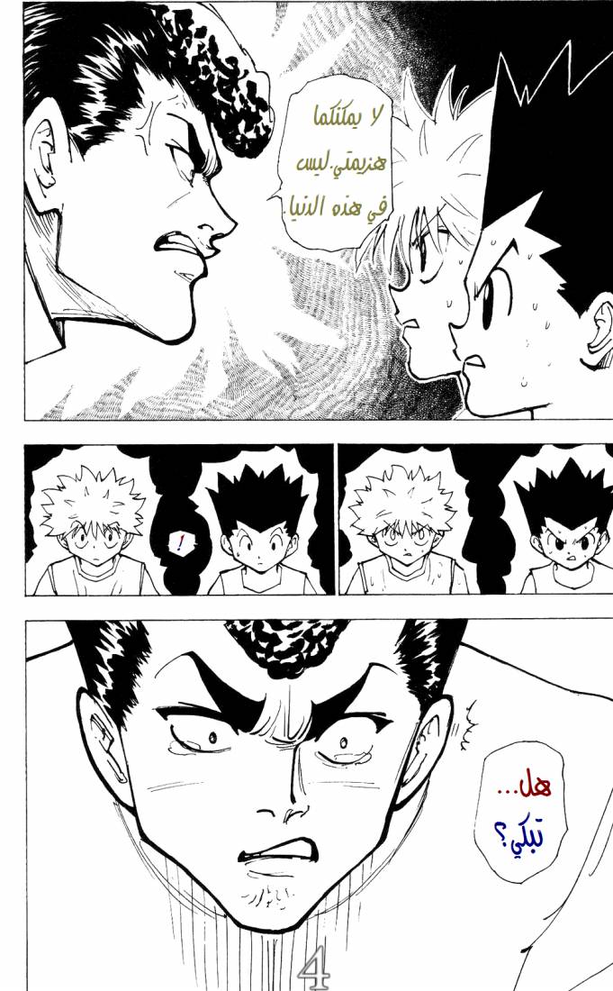 Hunter x Hunter: Chapter 203 - Page 3