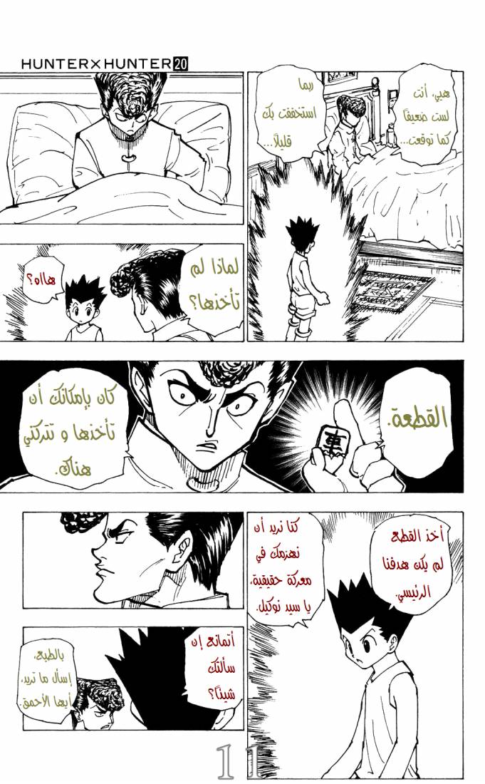 Hunter x Hunter: Chapter 203 - Page 10