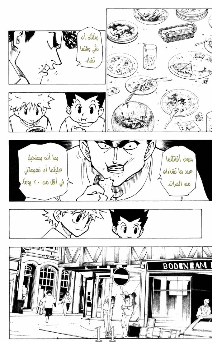 Hunter x Hunter: Chapter 203 - Page 13