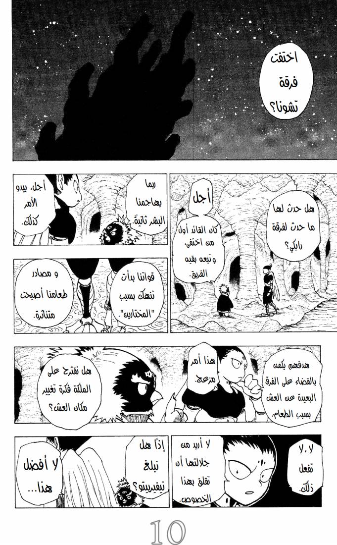 Hunter x Hunter: Chapter 204 - Page 10