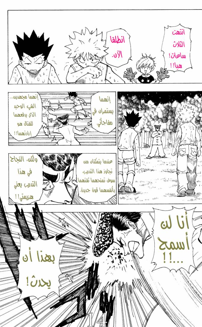 Hunter x Hunter: Chapter 204 - Page 14