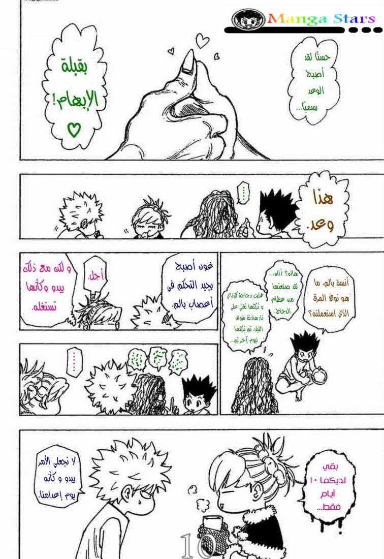 Hunter x Hunter: Chapter 205 - Page 11