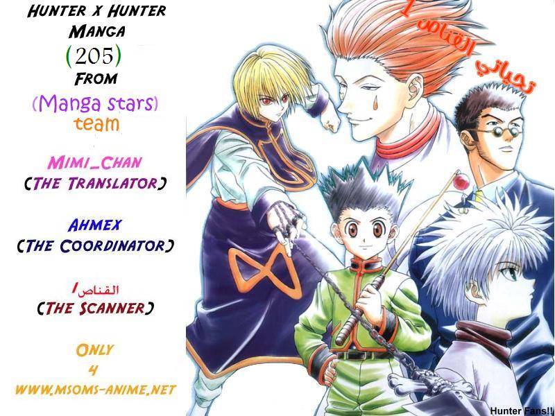 Hunter x Hunter: Chapter 205 - Page 17