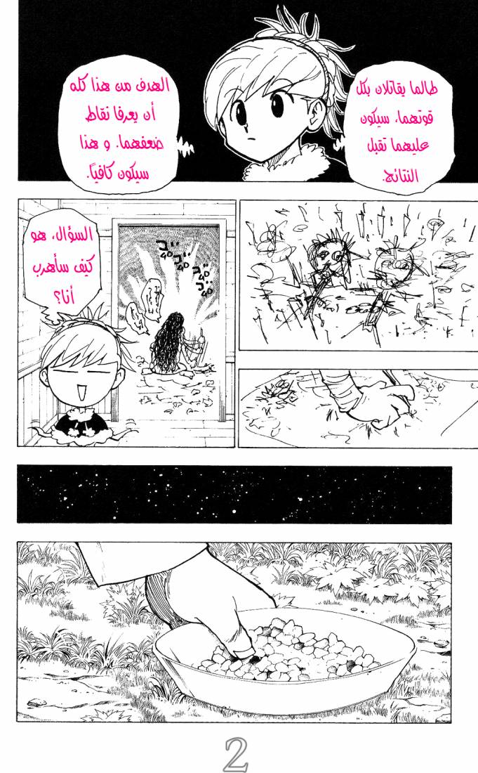 Hunter x Hunter: Chapter 206 - Page 2