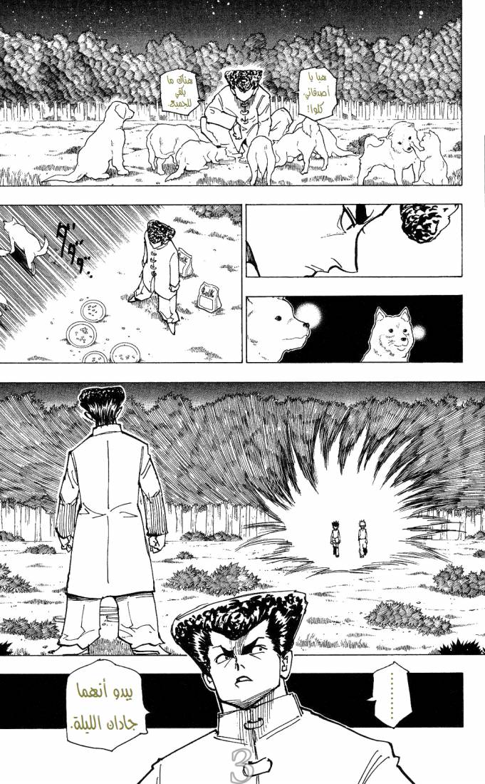Hunter x Hunter: Chapter 206 - Page 3