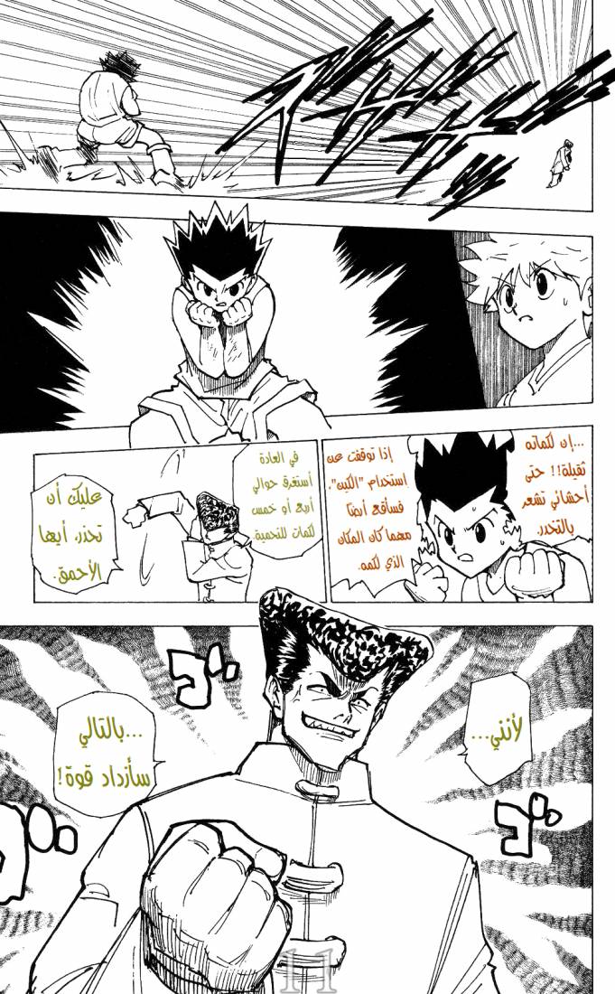 Hunter x Hunter: Chapter 206 - Page 10