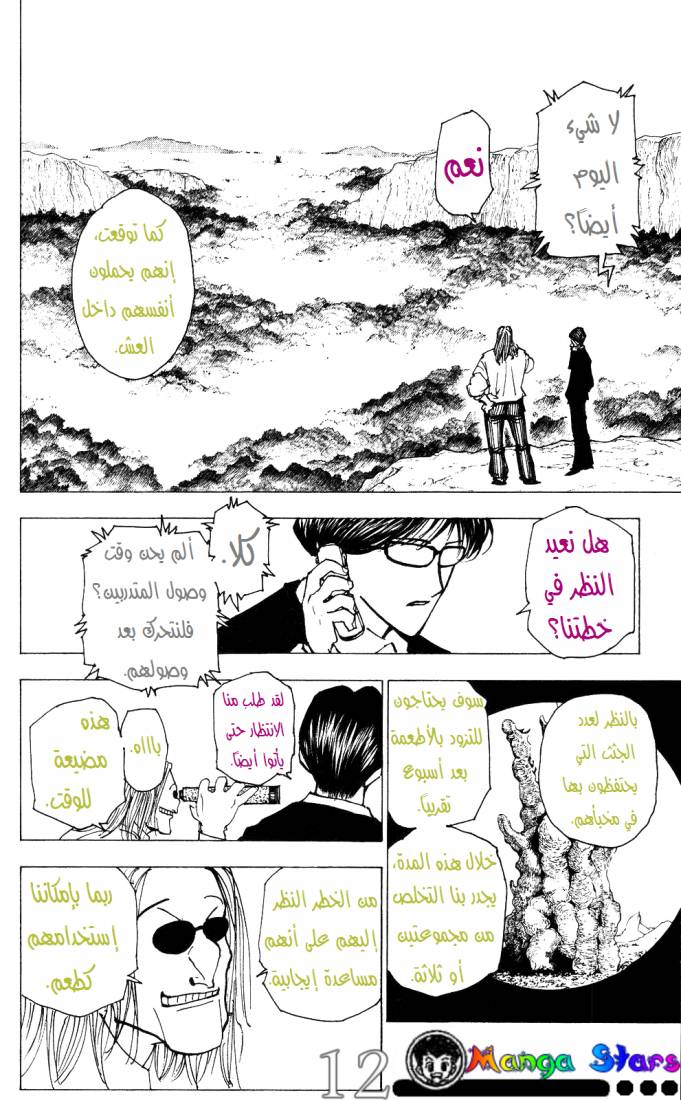 Hunter x Hunter: Chapter 206 - Page 11