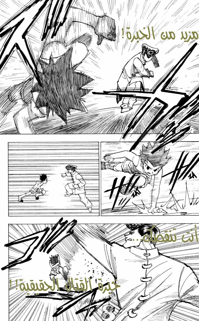 Hunter x Hunter: Chapter 207 - Page 8