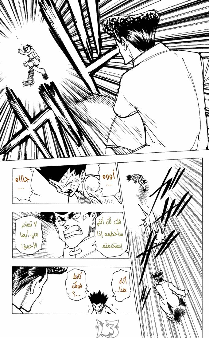 Hunter x Hunter: Chapter 207 - Page 13