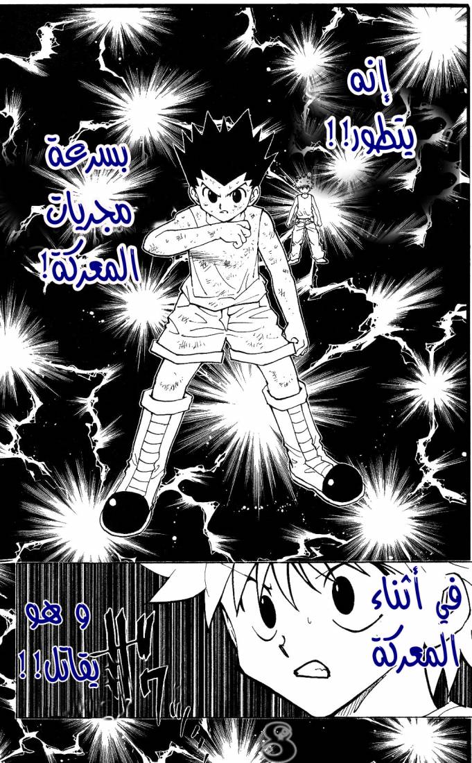 Hunter x Hunter: Chapter 208 - Page 8