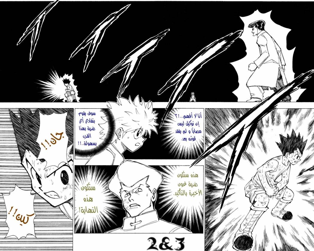 Hunter x Hunter: Chapter 209 - Page 2