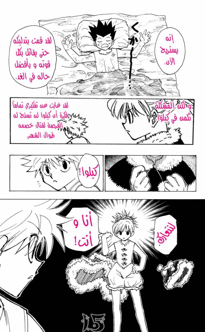 Hunter x Hunter: Chapter 209 - Page 13