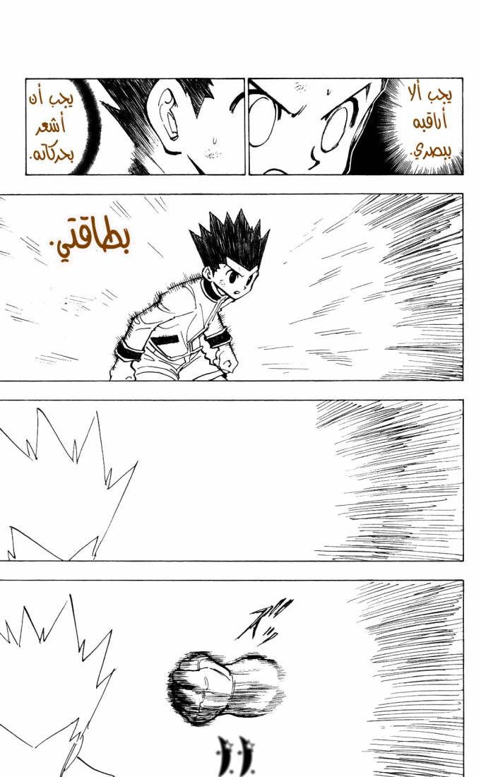 Hunter x Hunter: Chapter 210 - Page 11