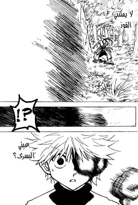 Hunter x Hunter: Chapter 212 - Page 8