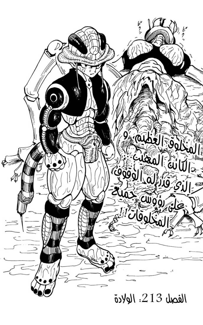 Hunter x Hunter: Chapter 213 - Page 2