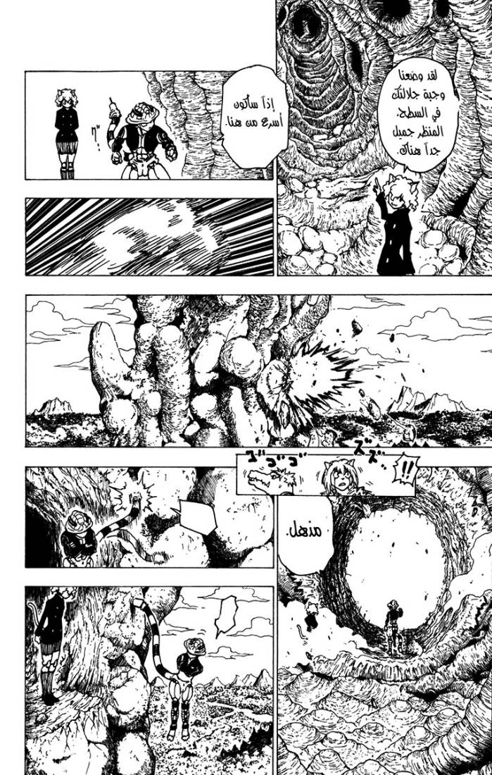 Hunter x Hunter: Chapter 213 - Page 10